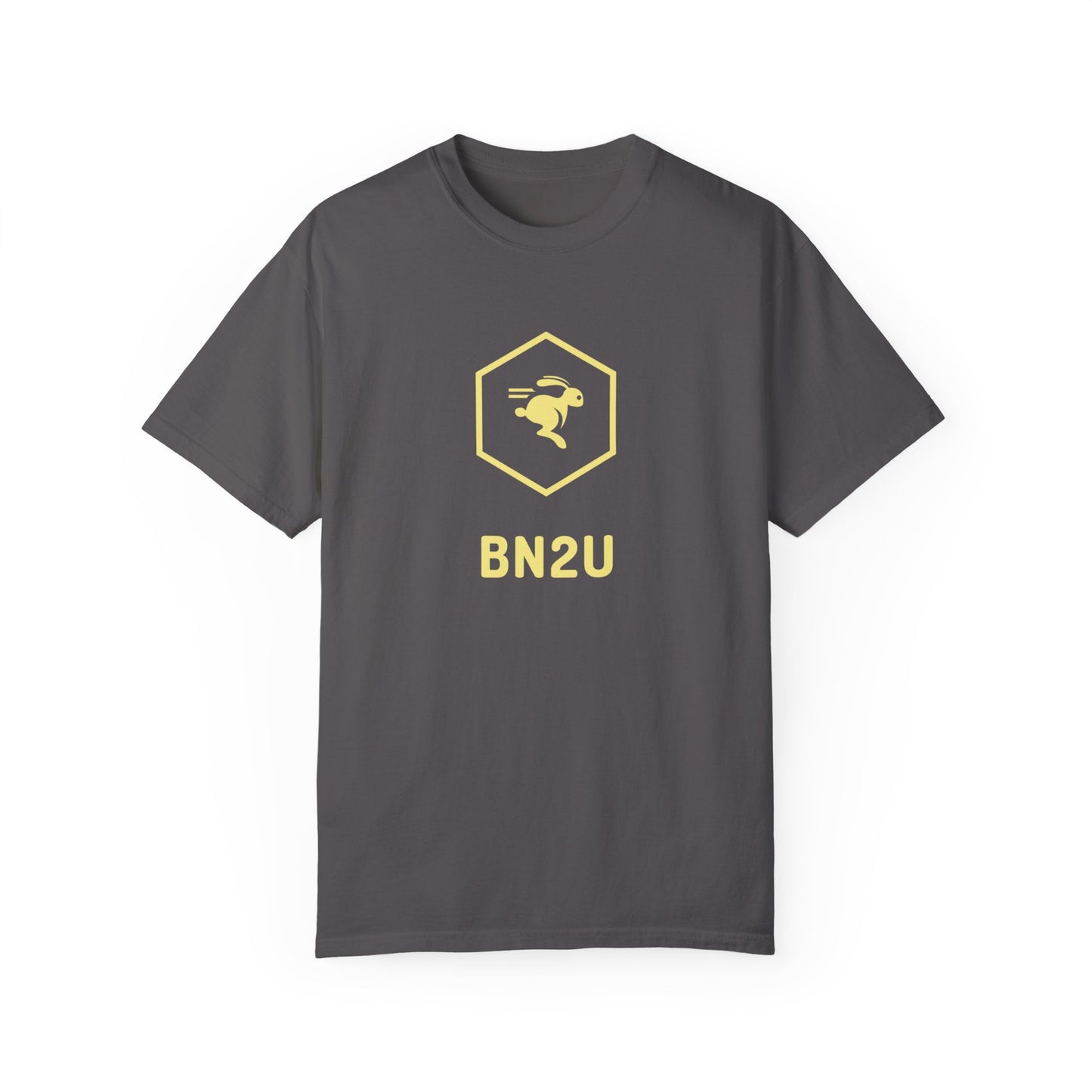 BN2U Unisex Garment-Dyed T-shirt
